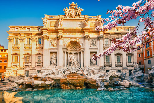 the trevi fountain